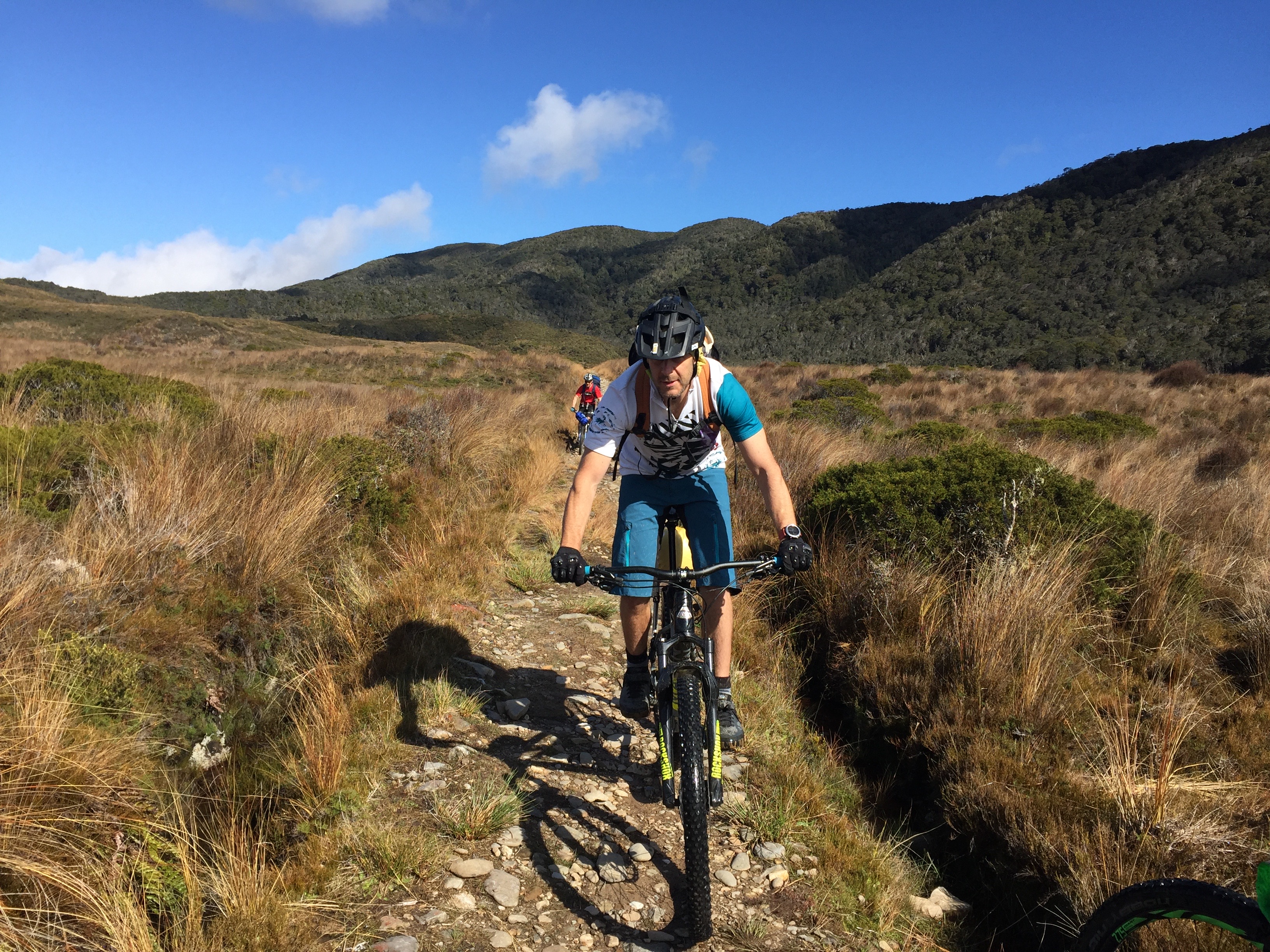 Heaphy Track