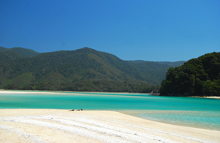 Abel Tasman Coast Track