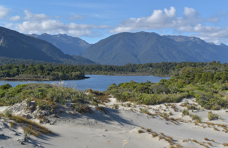 Easy Hiking Tracks - Active Aotearoa